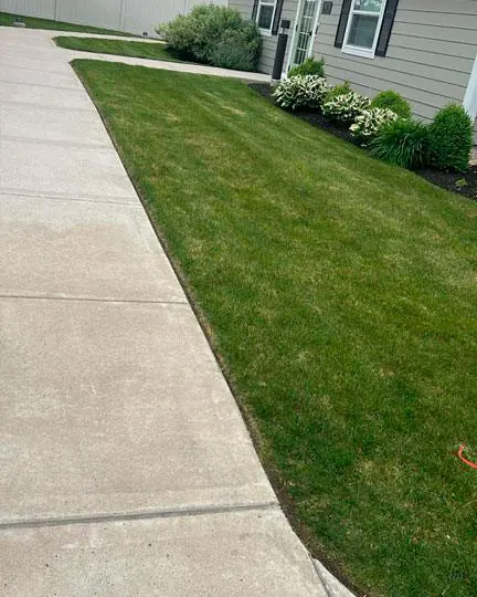 RJ Alves construction Services